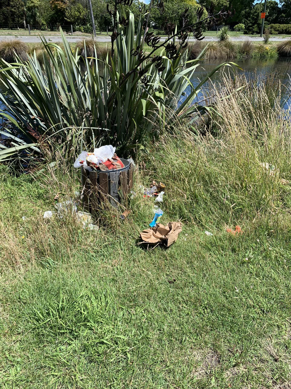 The photograph attached to this rubbish/recycling report