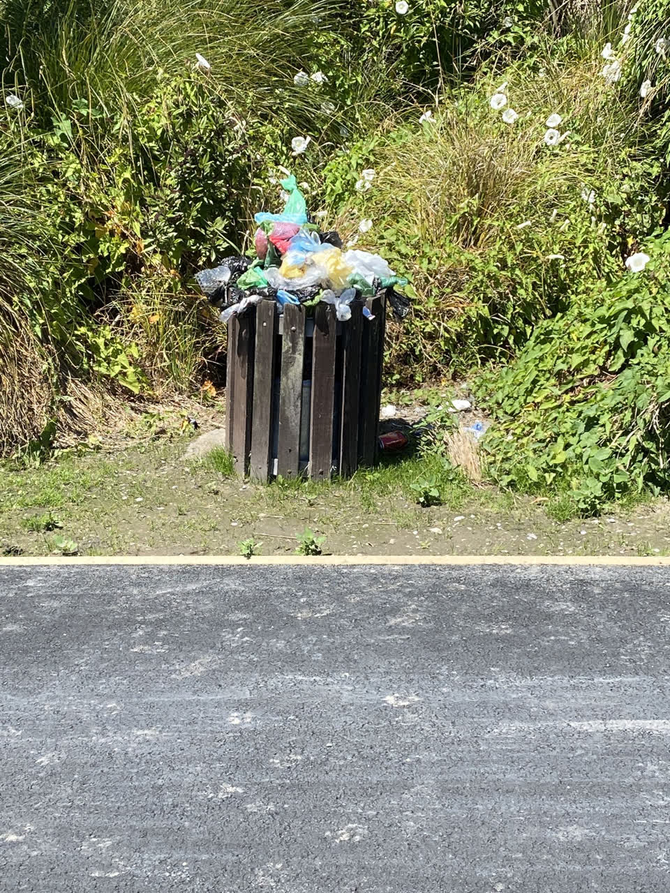 The photograph attached to this rubbish/recycling report