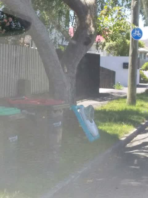 Rubbish/Recycling, a report photo