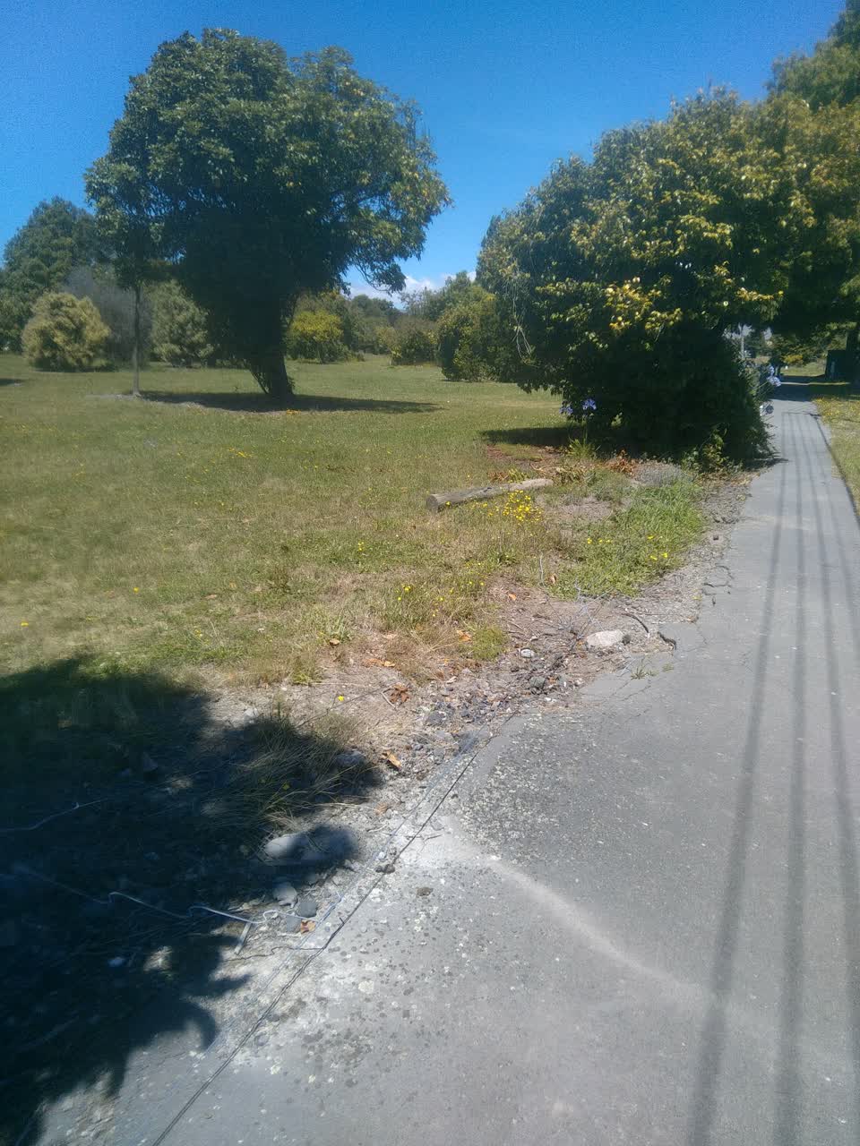 The photograph attached to this parks report