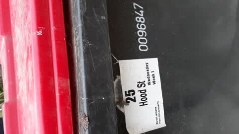 Rubbish/Recycling, a report photo