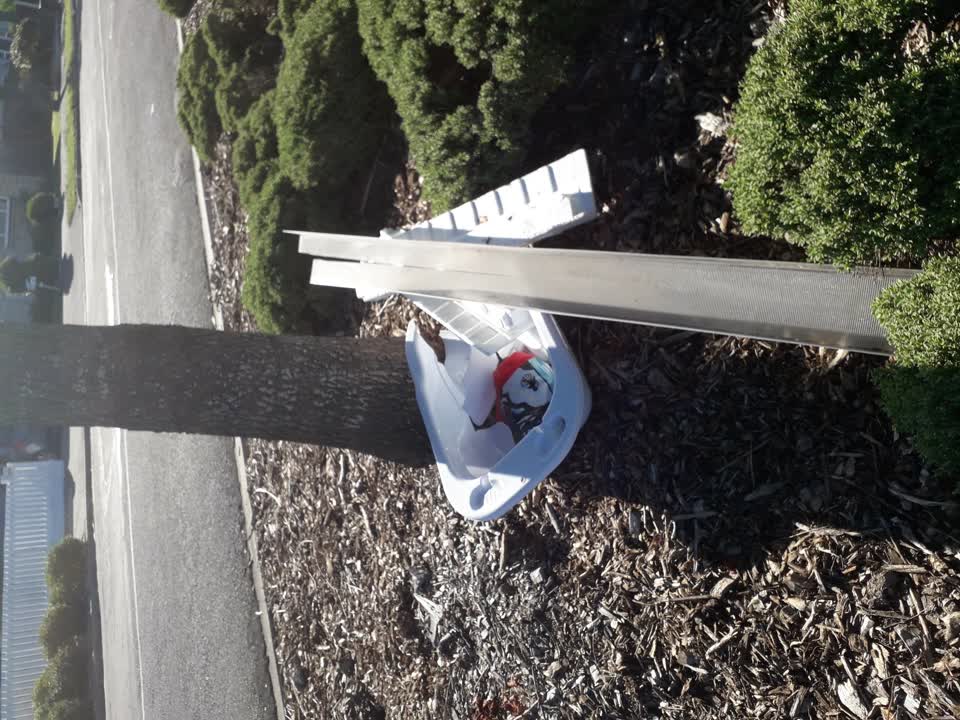 The photograph attached to this rubbish/recycling report
