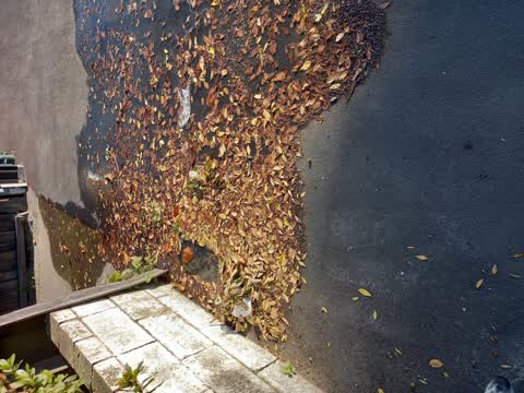 Water Leak, a report photo