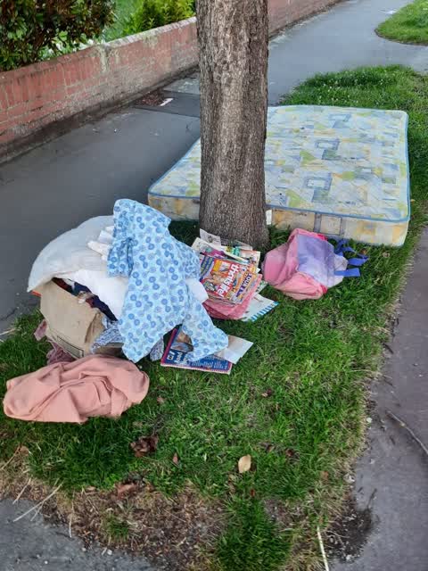 Rubbish/Recycling, a report photo