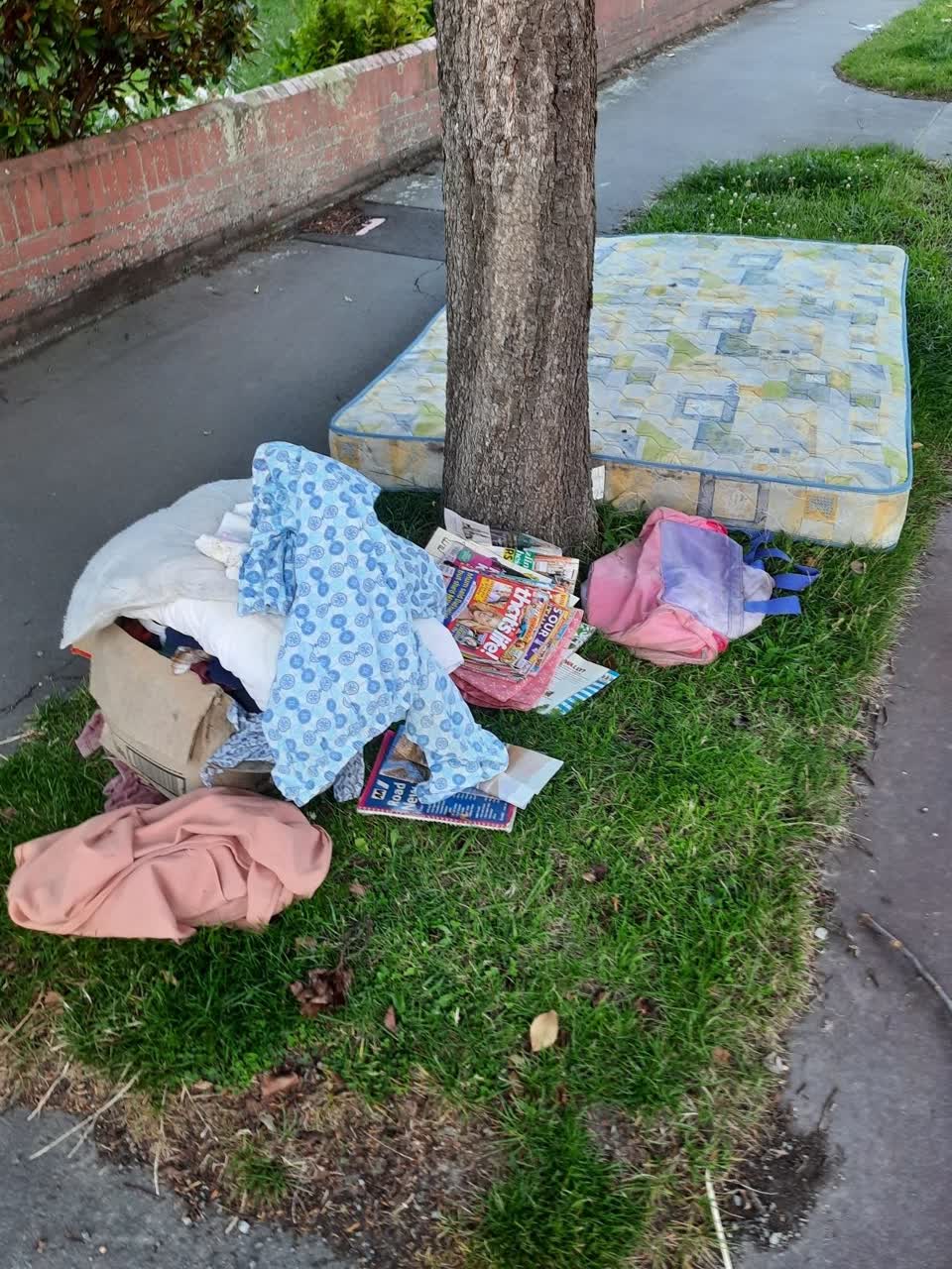 The photograph attached to this rubbish/recycling report