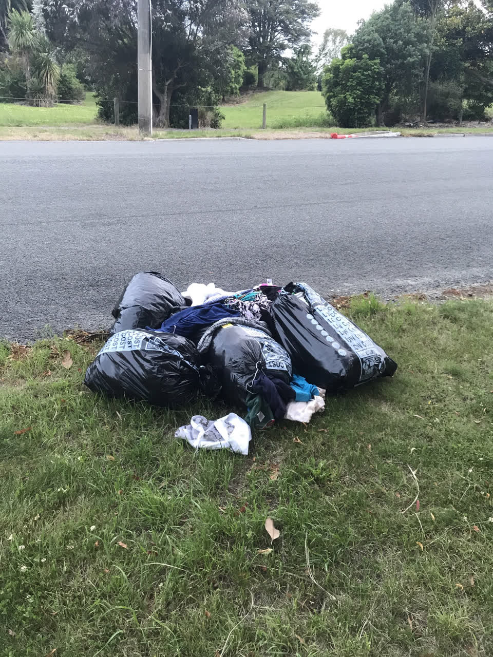 The photograph attached to this rubbish/recycling report
