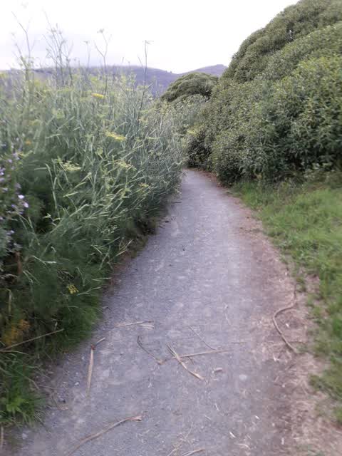 Parks, a report photo