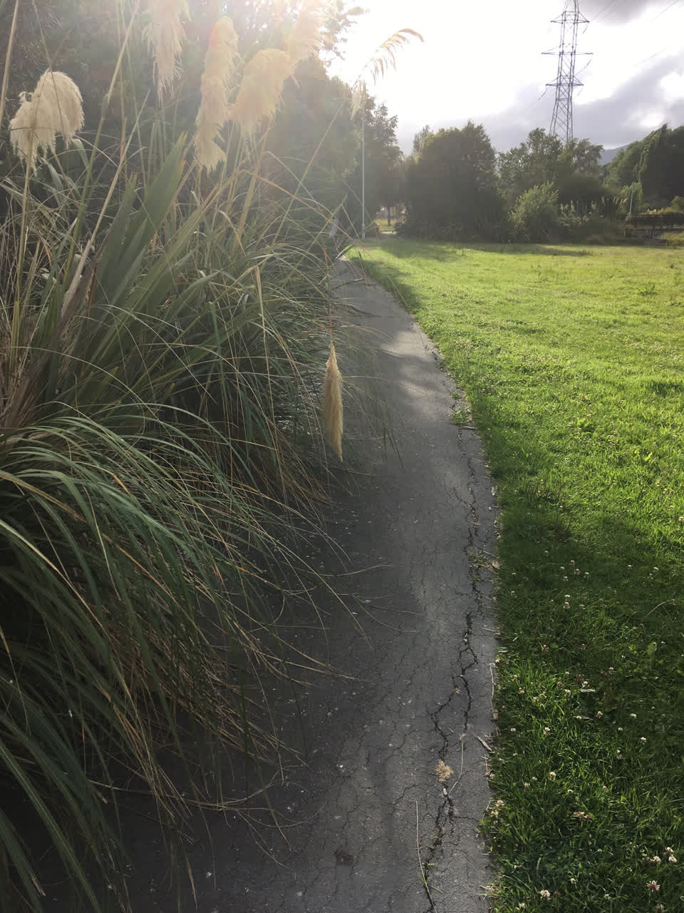 The photograph attached to this parks report