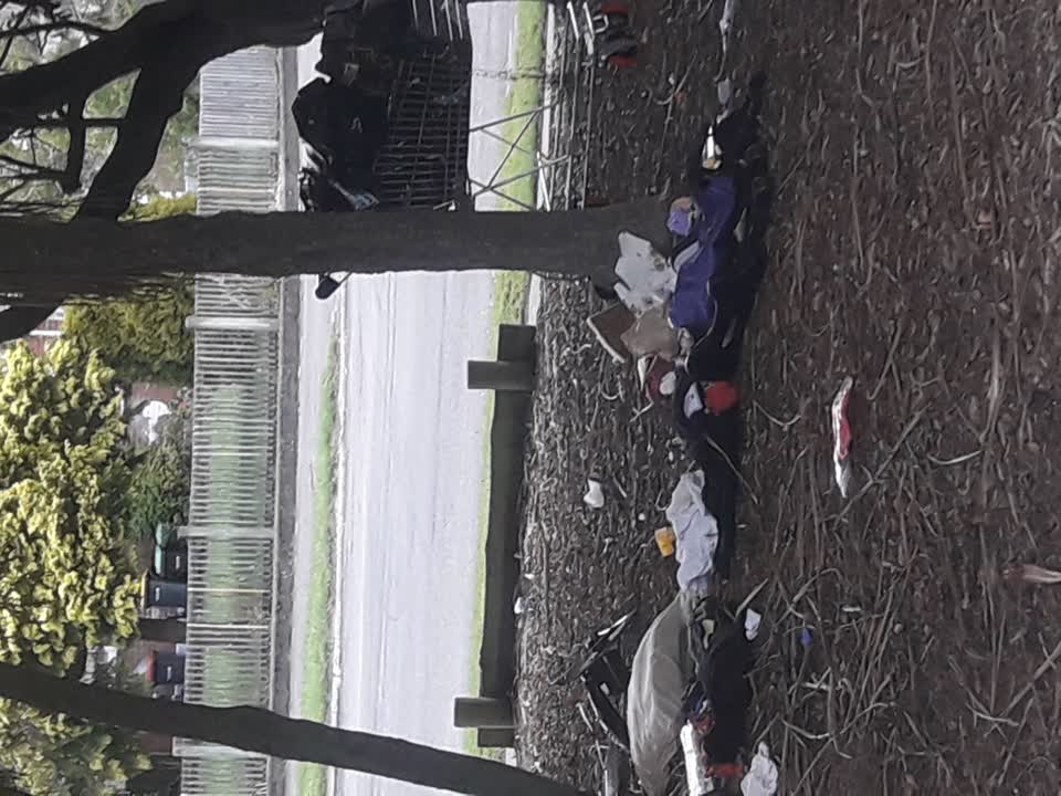 The photograph attached to this parks report