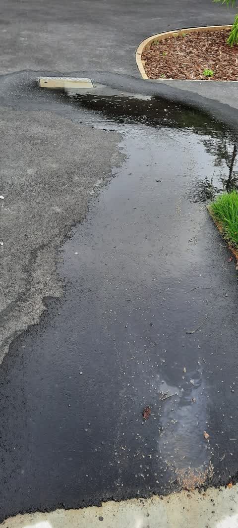 Water Supply, a report photo