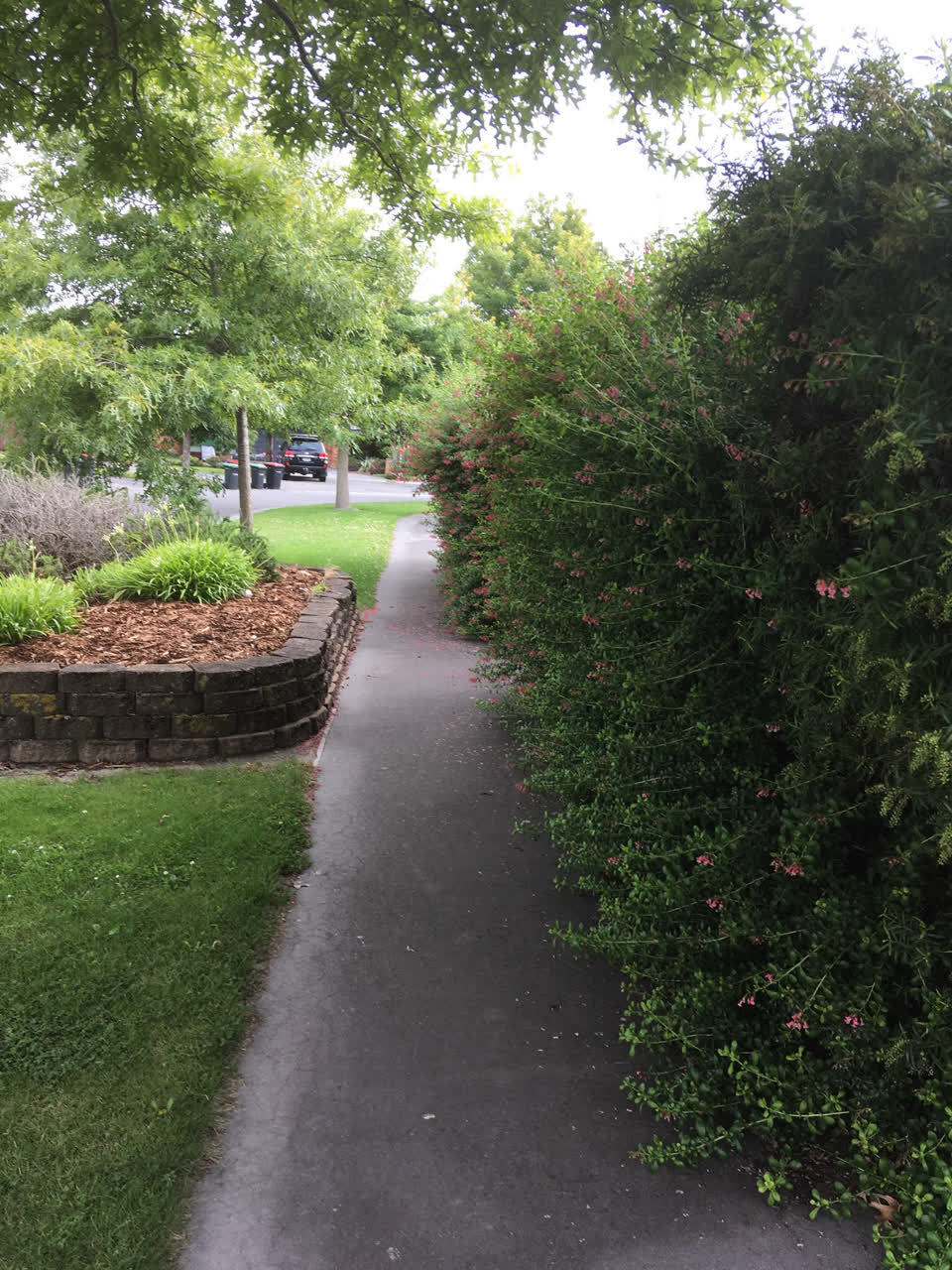 The photograph attached to this parks report