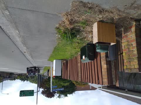 Rubbish/Recycling, a report photo