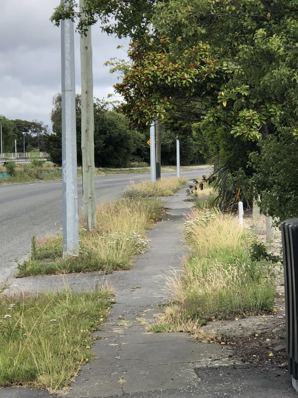 The photograph attached to this street light outage report