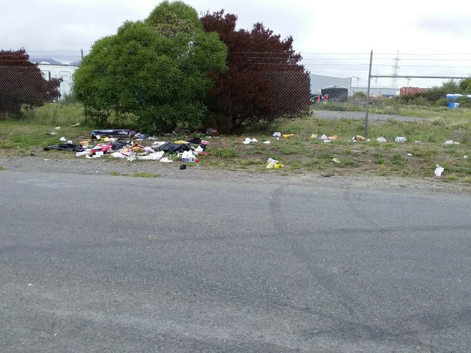 The photograph attached to this rubbish/recycling report