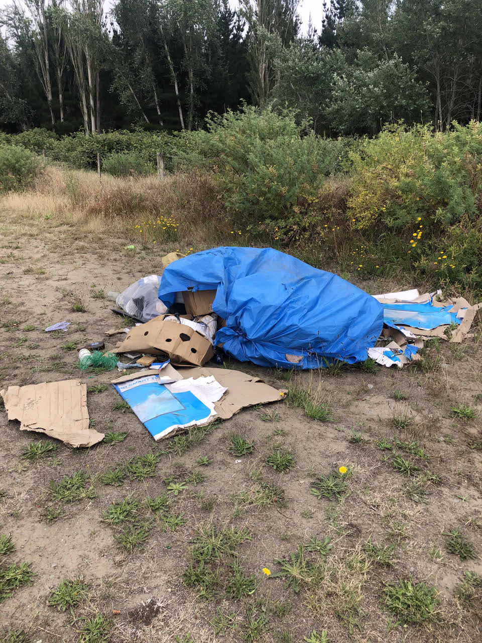 The photograph attached to this rubbish/recycling report
