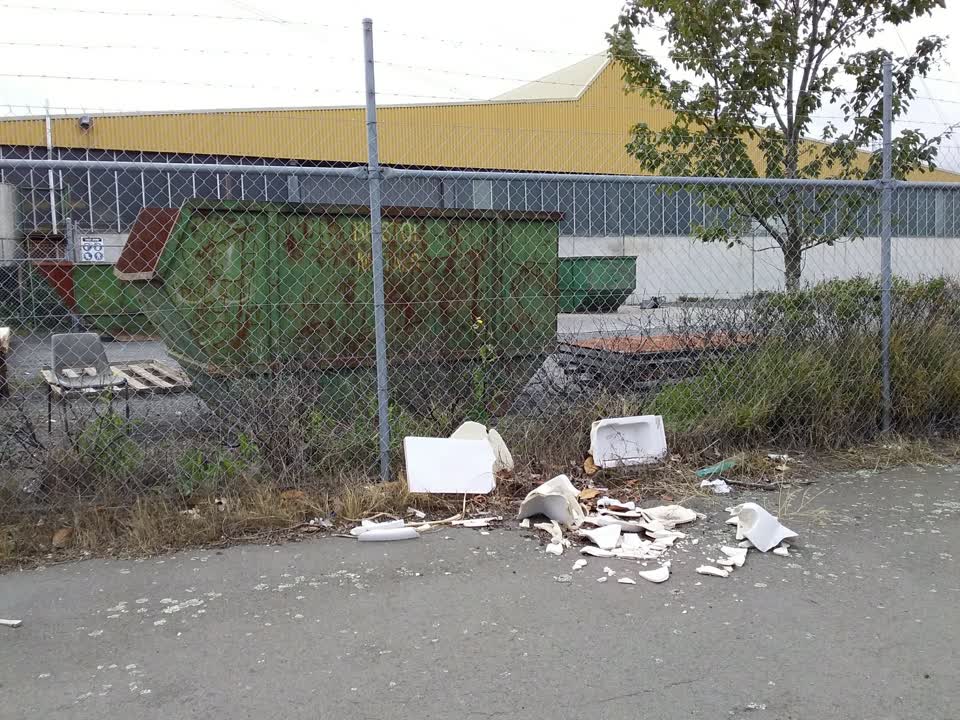 The photograph attached to this rubbish/recycling report