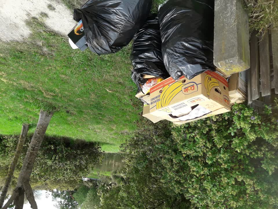 The photograph attached to this parks report