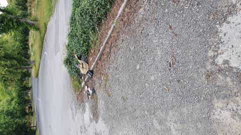 Rubbish/Recycling — a report photo