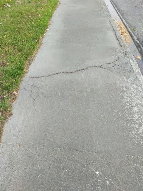 Parks, a report photo