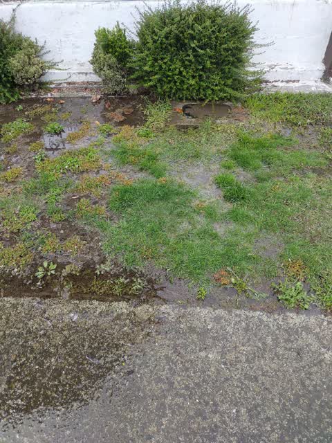 Water Leak, a report photo