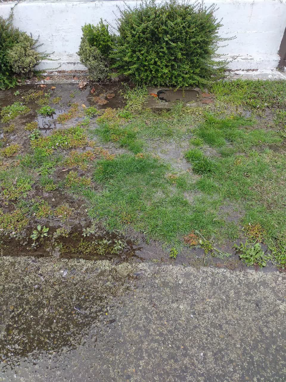 The photograph attached to this water leak report