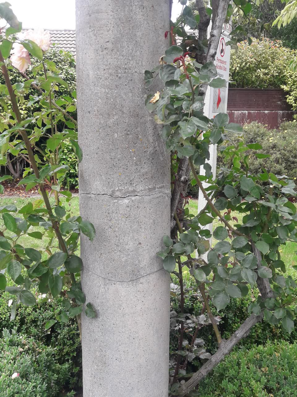 The photograph attached to this parks report