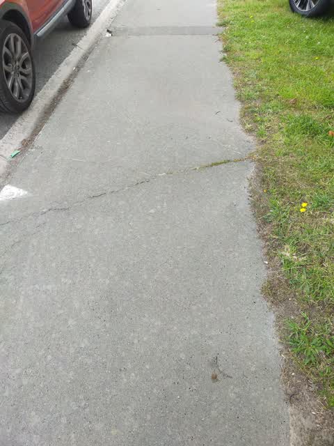 Roading/Streets, a report photo