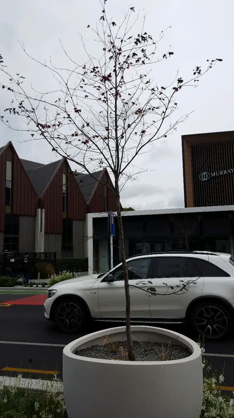 Roading/Streets, a report photo