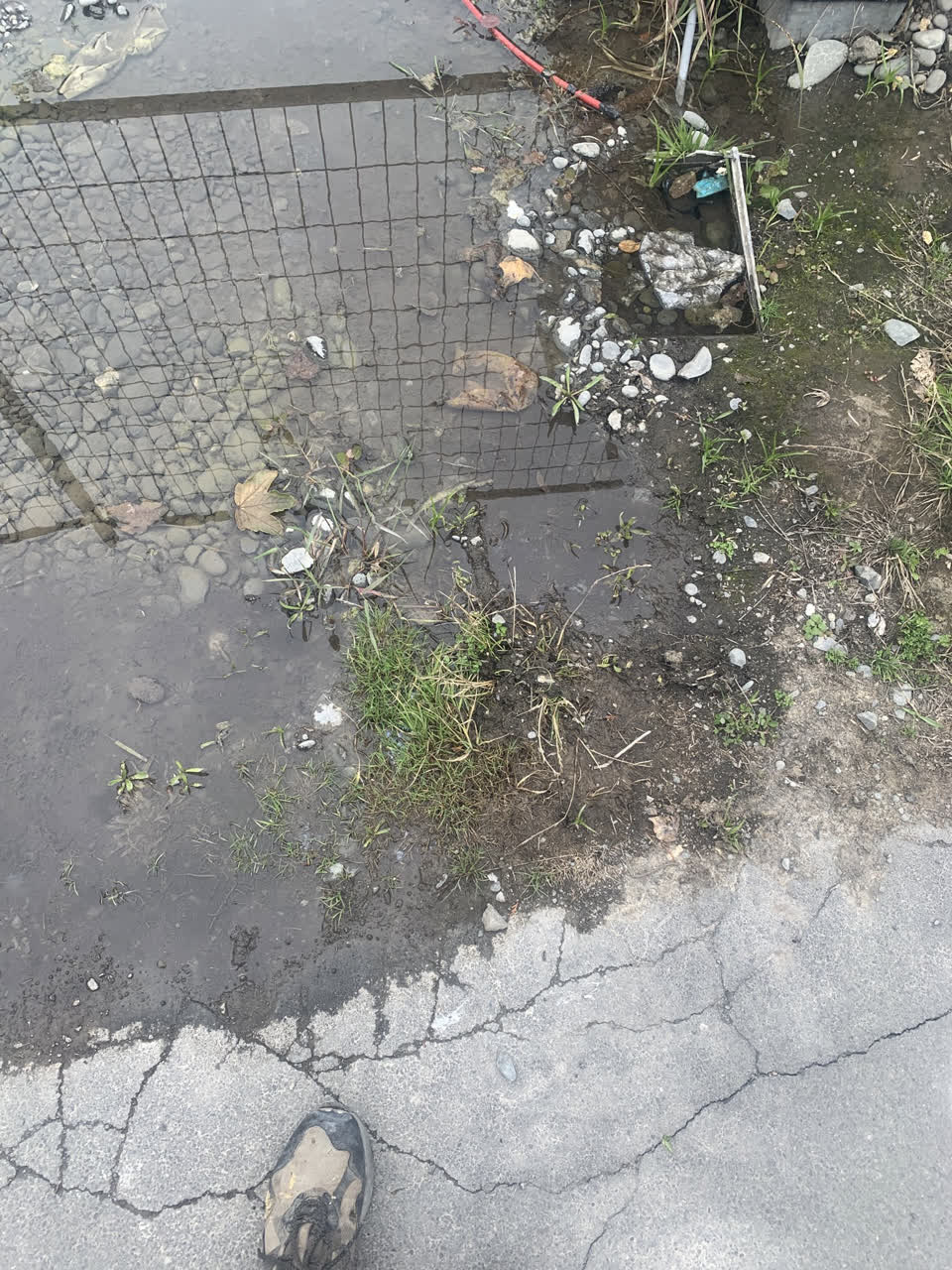 The photograph attached to this water leak report