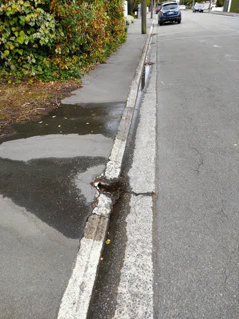 Water Leak, a report photo