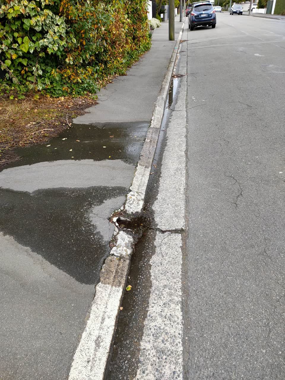 The photograph attached to this water leak report