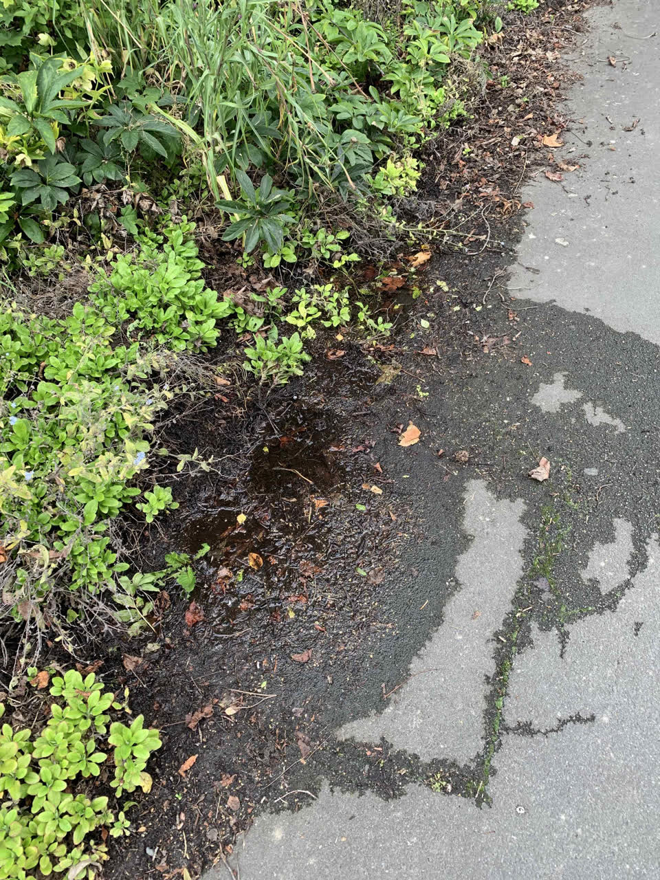 The photograph attached to this water leak report