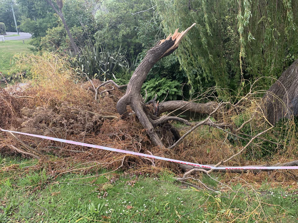 The photograph attached to this parks report
