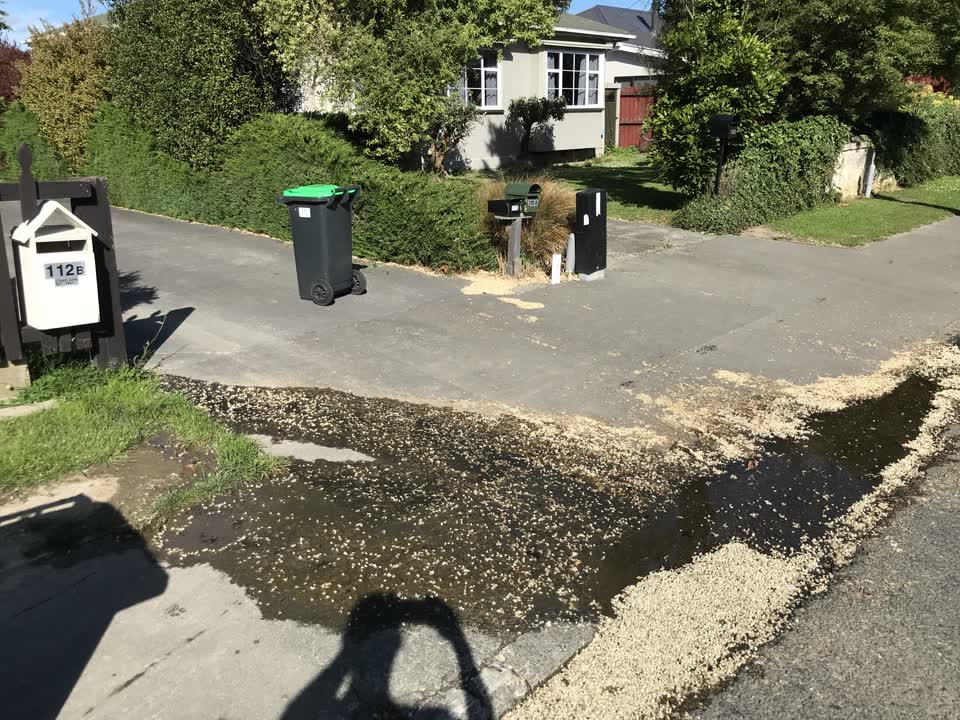 The photograph attached to this water leak report