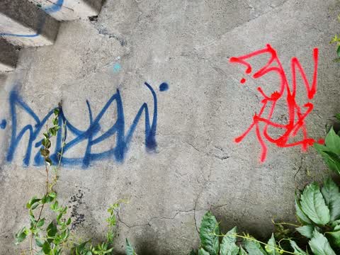 Graffiti, a report photo