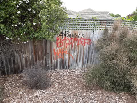 Graffiti, a report photo
