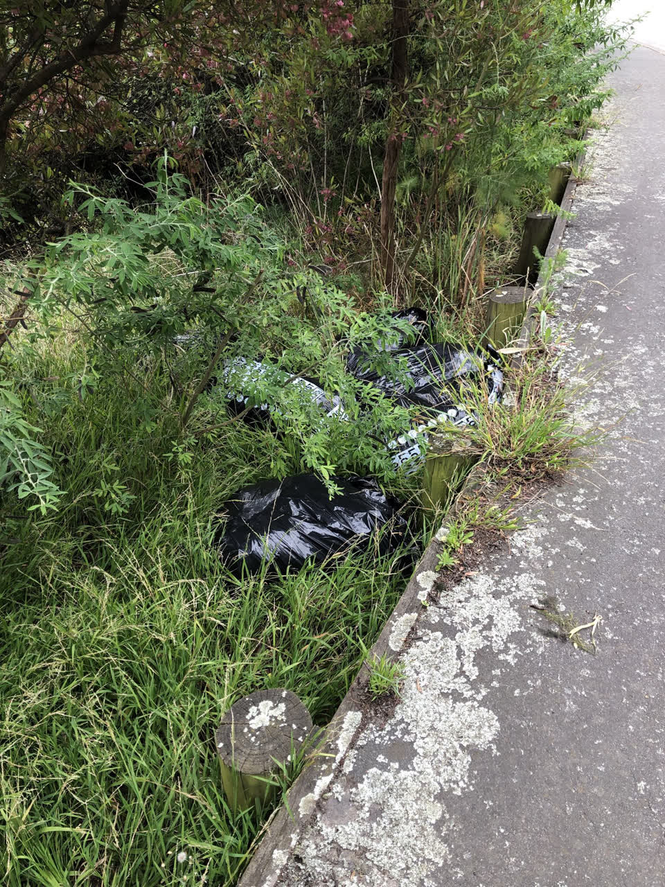 The photograph attached to this rubbish/recycling report