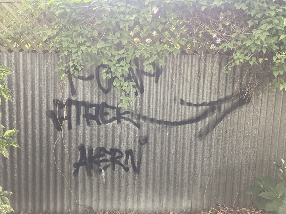 The photograph attached to this graffiti report