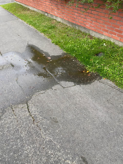 Water Leak, a report photo