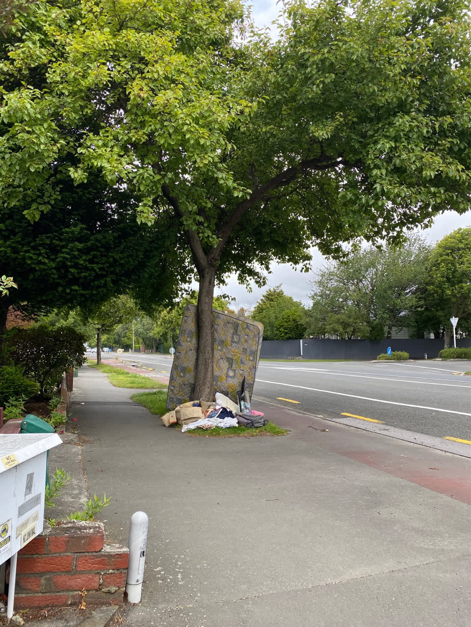 The photograph attached to this rubbish/recycling report