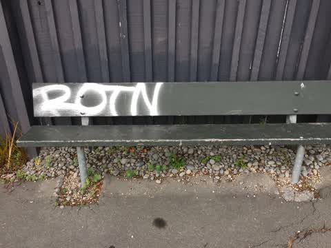 Graffiti, a report photo