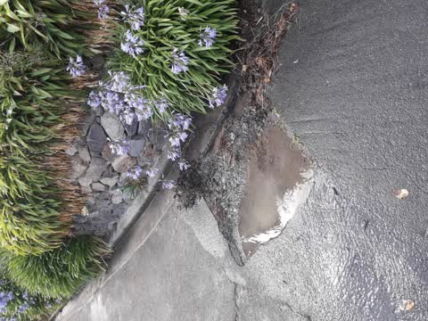 Water Leak, a report photo