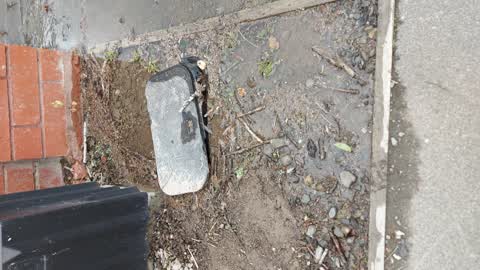 Water Leak, a report photo