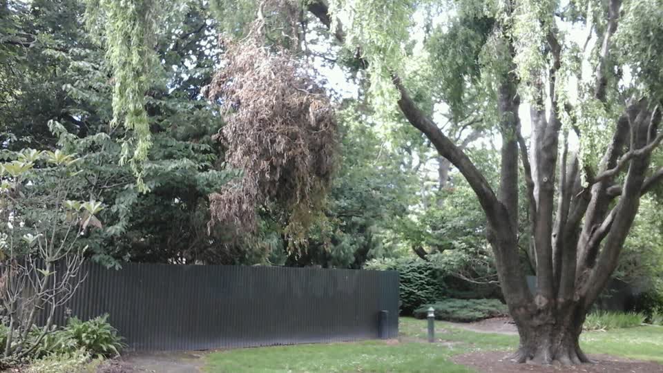 The photograph attached to this parks report