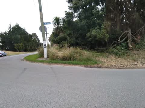 Roading/Streets, a report photo