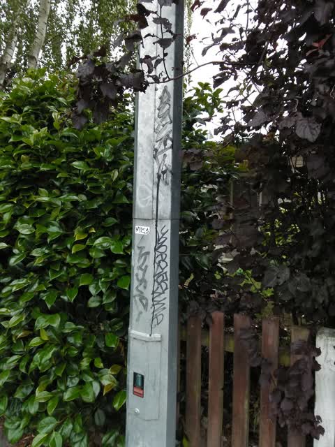 Graffiti, a report photo