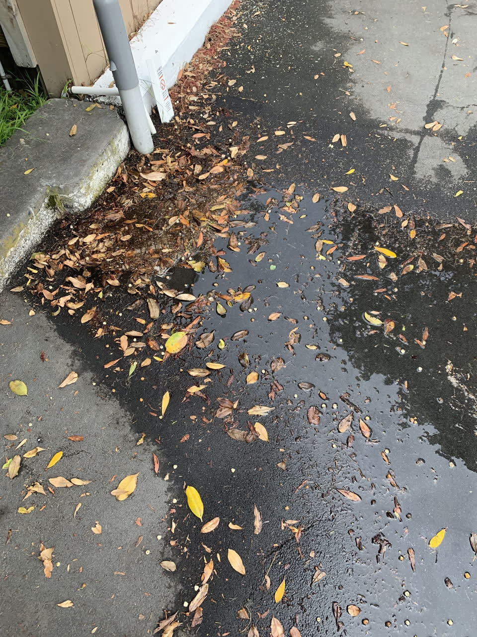 The photograph attached to this flooding report