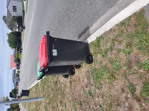 Rubbish/Recycling, a report photo