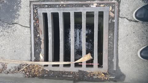 Wastewater/Stormwater — a report photo