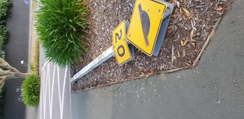 Roading/Streets, a report photo
